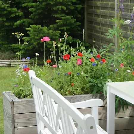 Lustrup 公寓 里伯