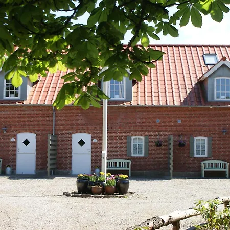 Lustrup Ribe